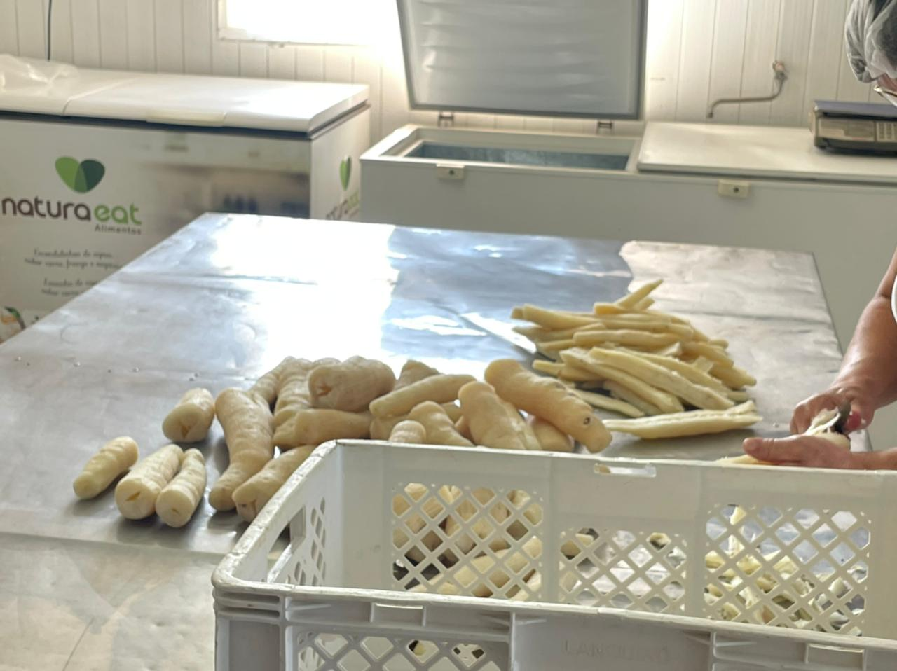 Visita a empresa Natureat Alimentos — imagem histórica